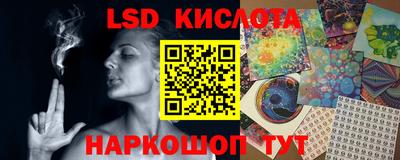 ПСИЛОЦИБИНОВЫЕ ГРИБЫ Краснодар