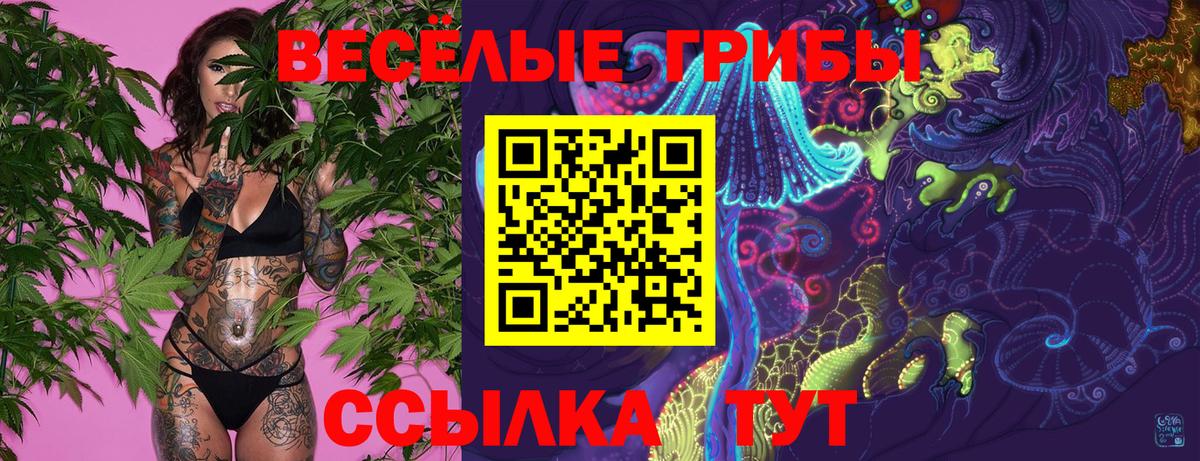 Галлюциногенные грибы ЛСД  Галлюциногенные грибы GOLDEN TEACHER  сколько стоит  Калининград  Вход с VPN 