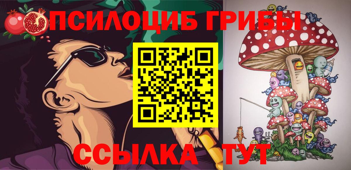 Меф Калининград