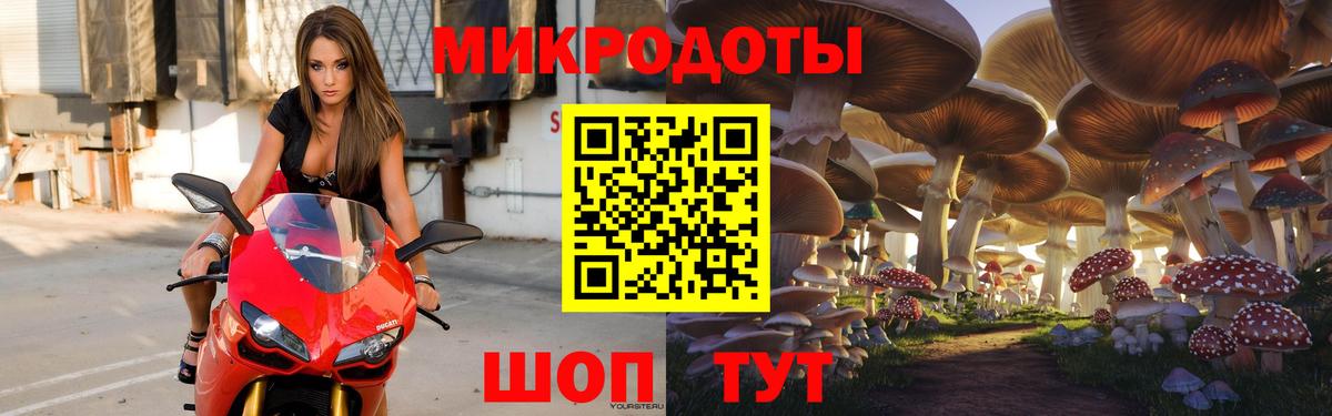 Галлюциногенные грибы GOLDEN TEACHER Калининград